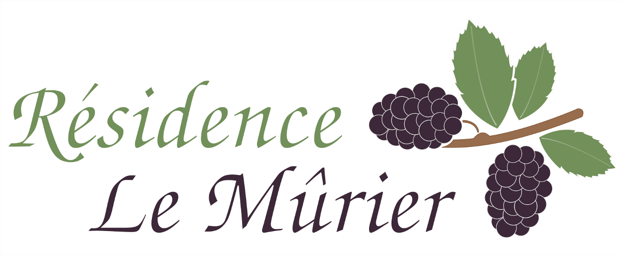 logo_residence_lemurier